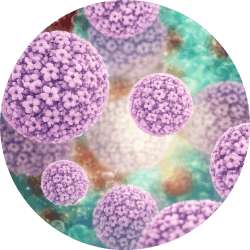 HPV Direct Flow Chip