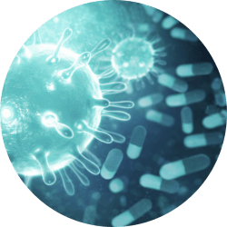 AMR DIRECT FLOW CHIP