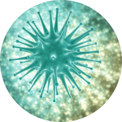 RESPIRATORY FLOW CHIP