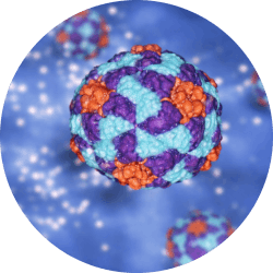 TICK-BORNE BACTERIA FLOW CHIP