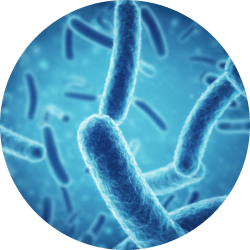 STD DIRECT FLOW CHIP